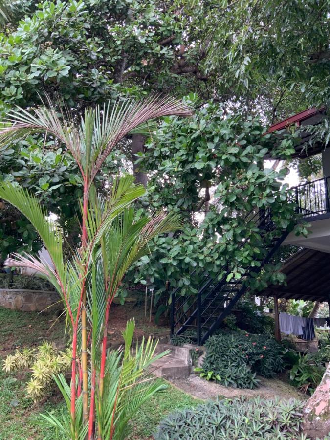 Lali Villa & Fruit Garden Galle Extérieur photo