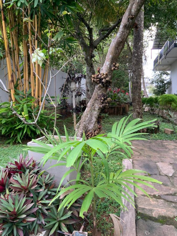 Lali Villa & Fruit Garden Galle Extérieur photo