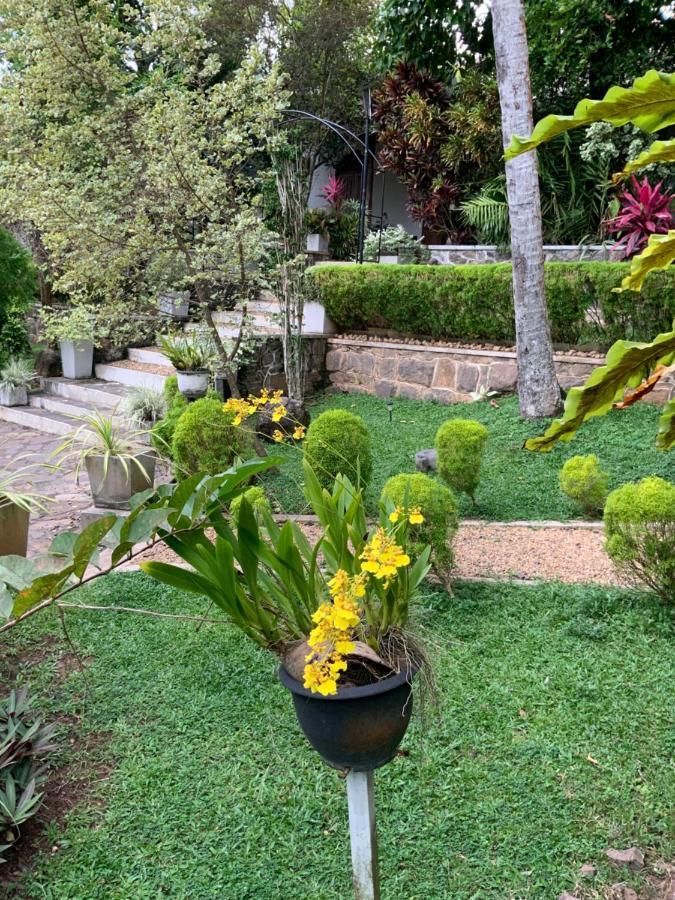 Lali Villa & Fruit Garden Galle Extérieur photo