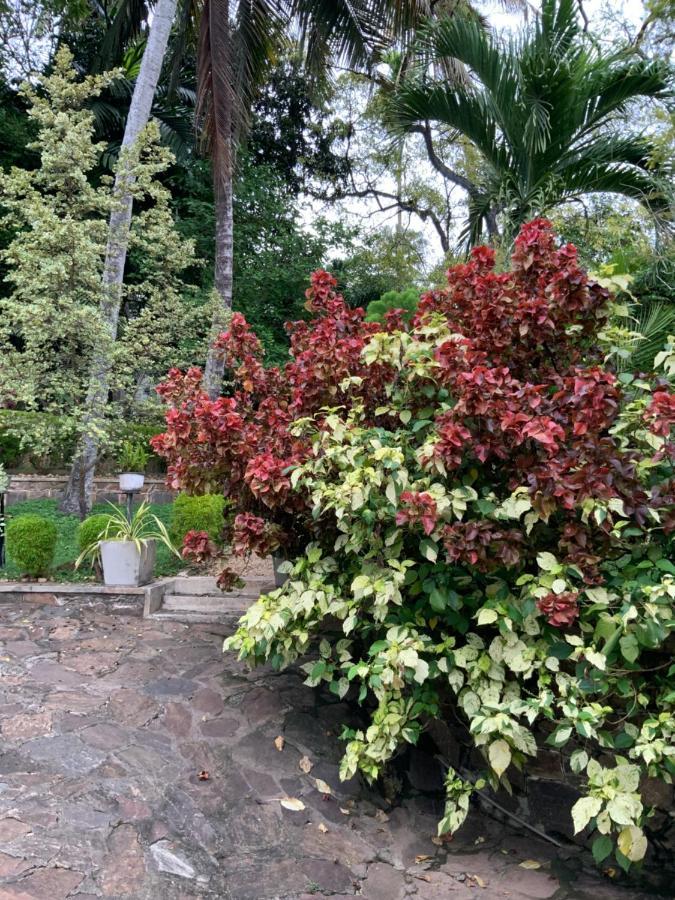 Lali Villa & Fruit Garden Galle Extérieur photo