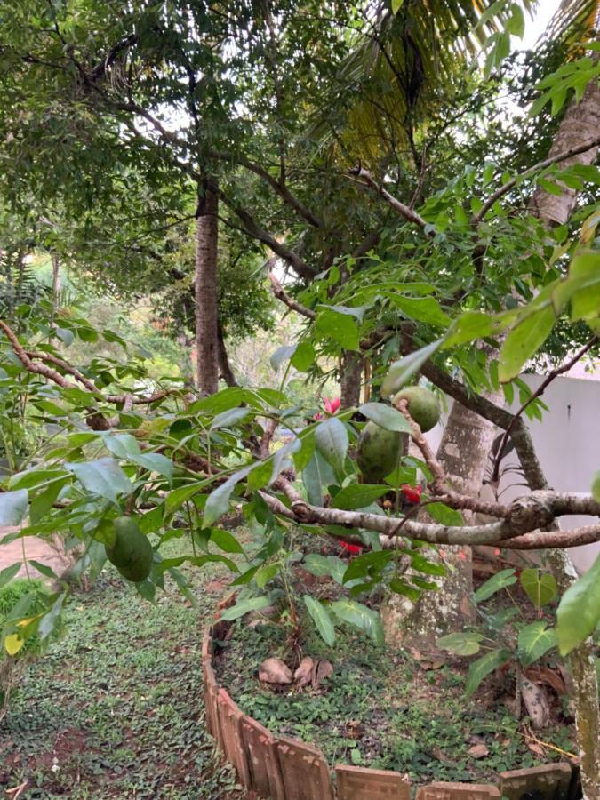 Lali Villa & Fruit Garden Galle Extérieur photo
