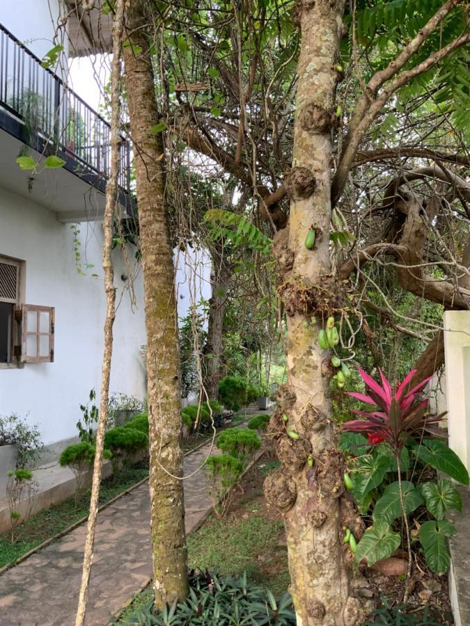 Lali Villa & Fruit Garden Galle Extérieur photo