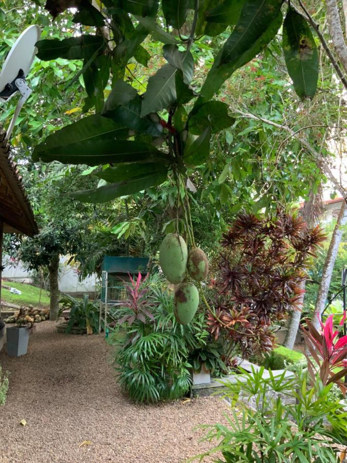 Lali Villa & Fruit Garden Galle Extérieur photo